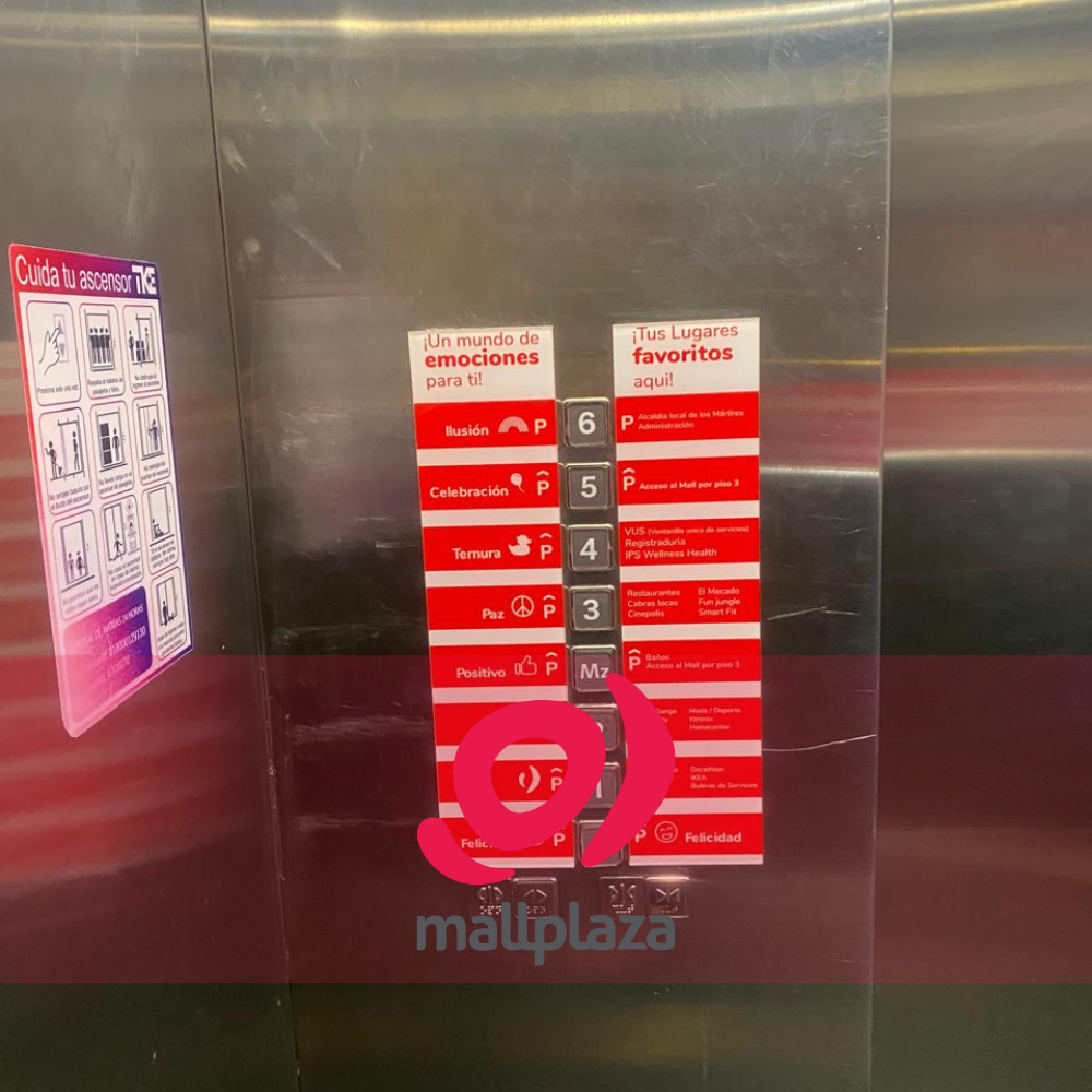 Descripción de la imagen 5 del año 2025