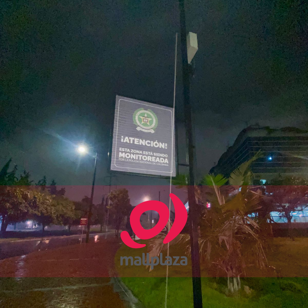 Descripción de la imagen 3 del año 2025