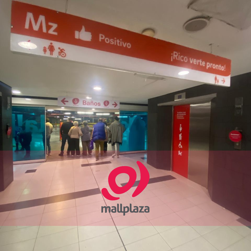 Descripción de la imagen 3 del año 2025