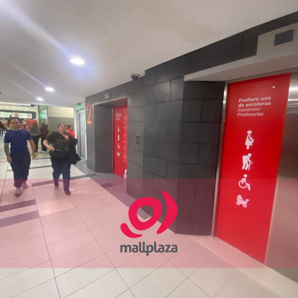 Descripción de la imagen 3 del año 2025