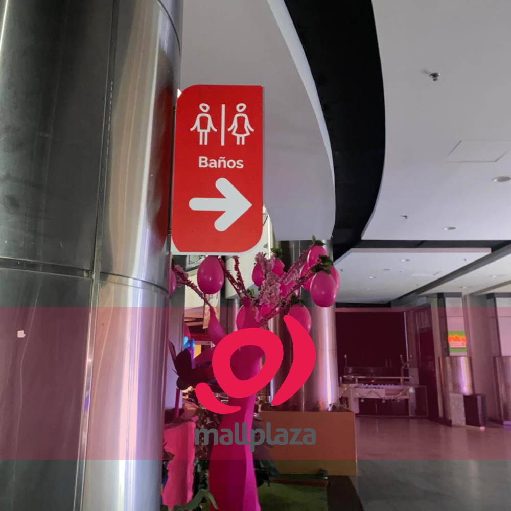 Descripción de la imagen 3 del año 2025