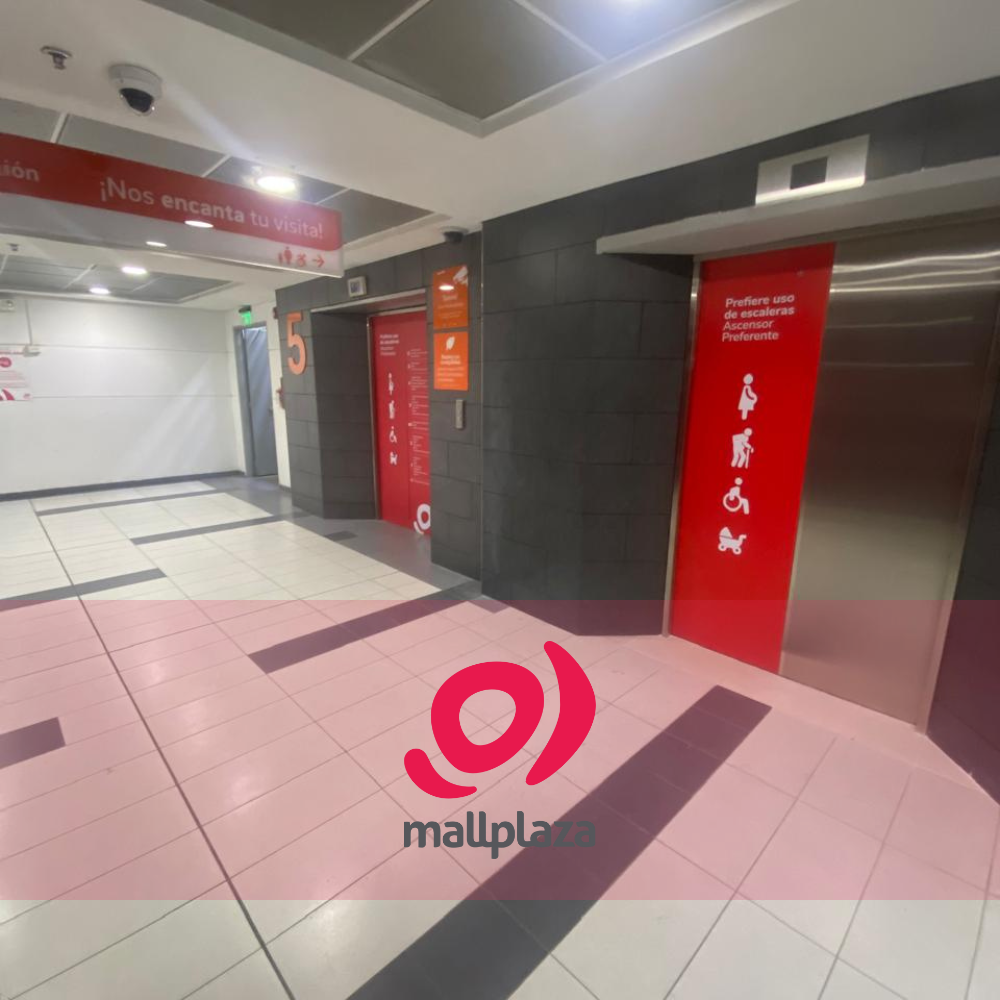 Descripción de la imagen 3 del año 2025