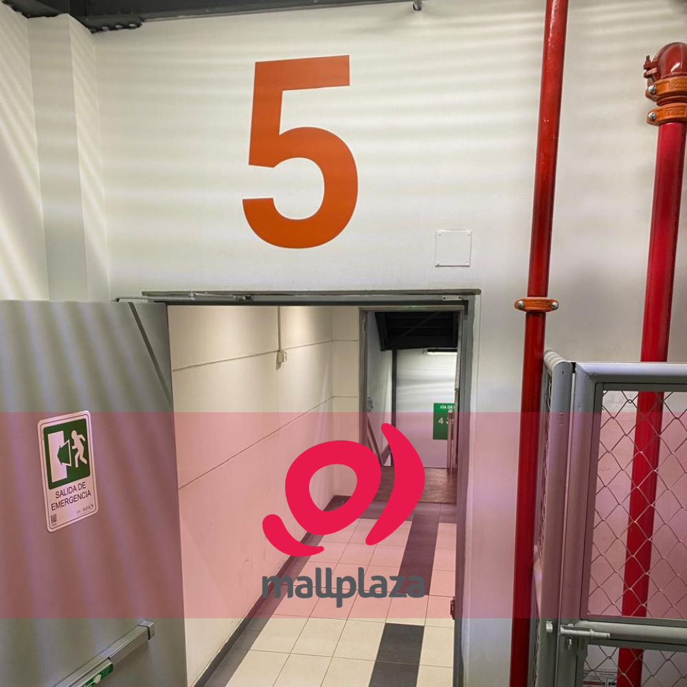 Descripción de la imagen 3 del año 2025