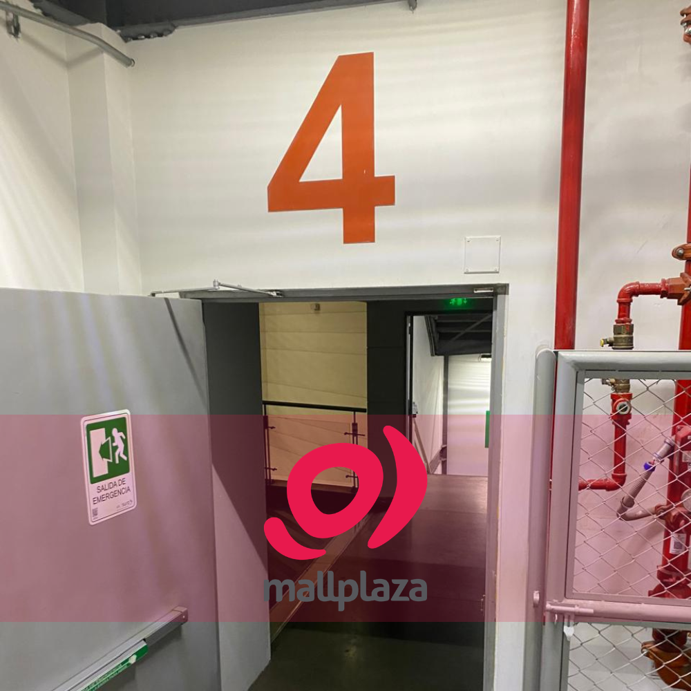 Descripción de la imagen 3 del año 2025