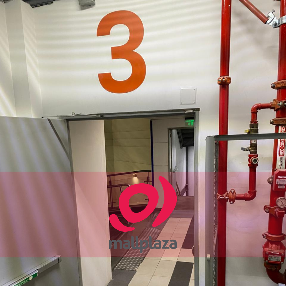 Descripción de la imagen 3 del año 2025