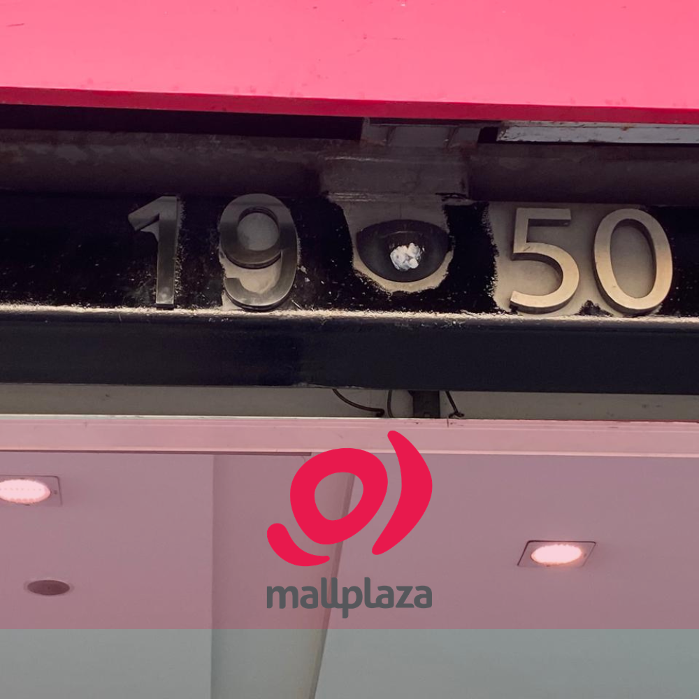 Descripción de la imagen 3 del año 2025