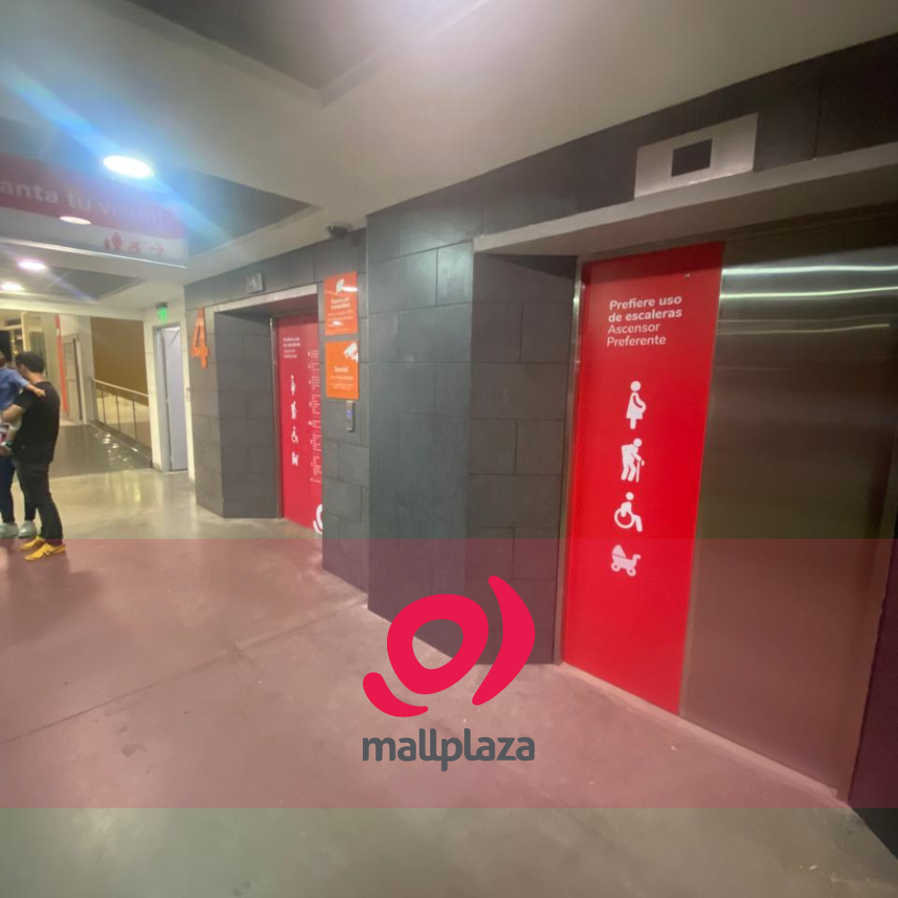 Descripción de la imagen 3 del año 2025