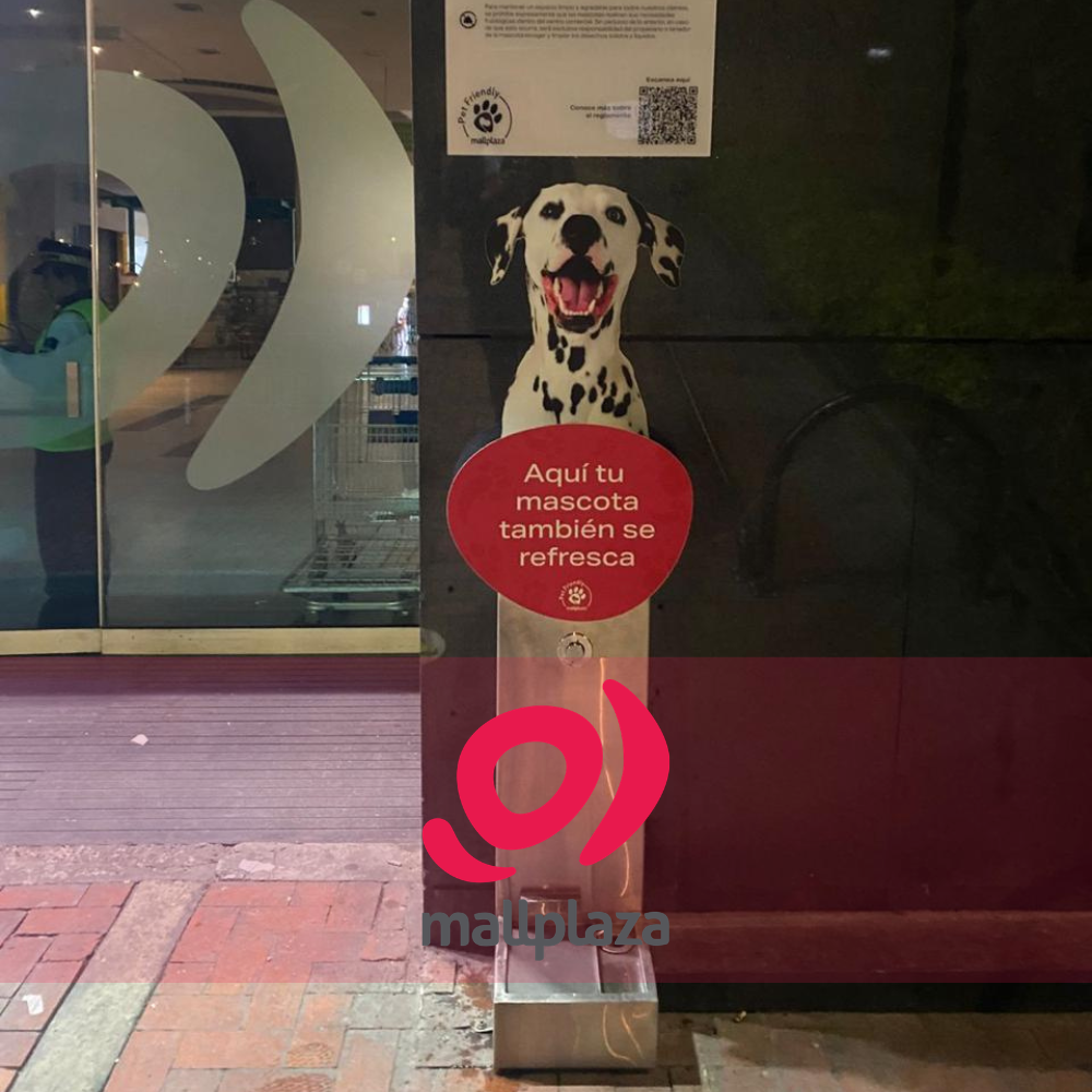 Descripción de la imagen 3 del año 2025