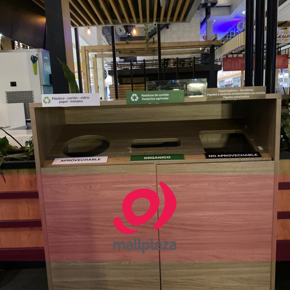 Descripción de la imagen 3 del año 2025