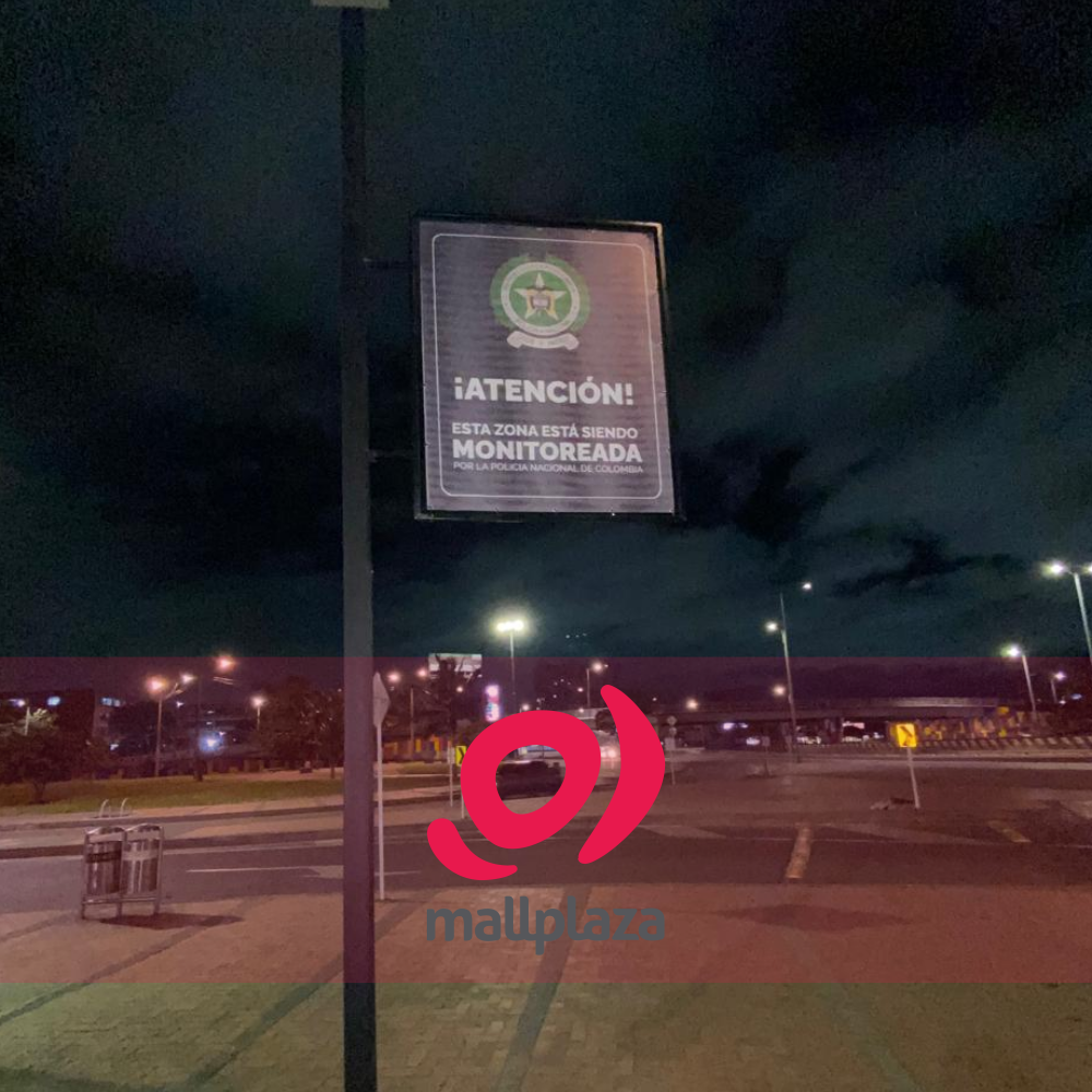 Descripción de la imagen 3 del año 2025