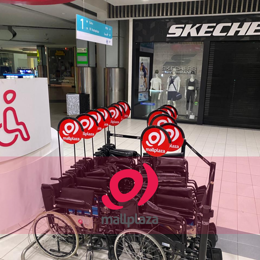 Descripción de la imagen 3 del año 2025