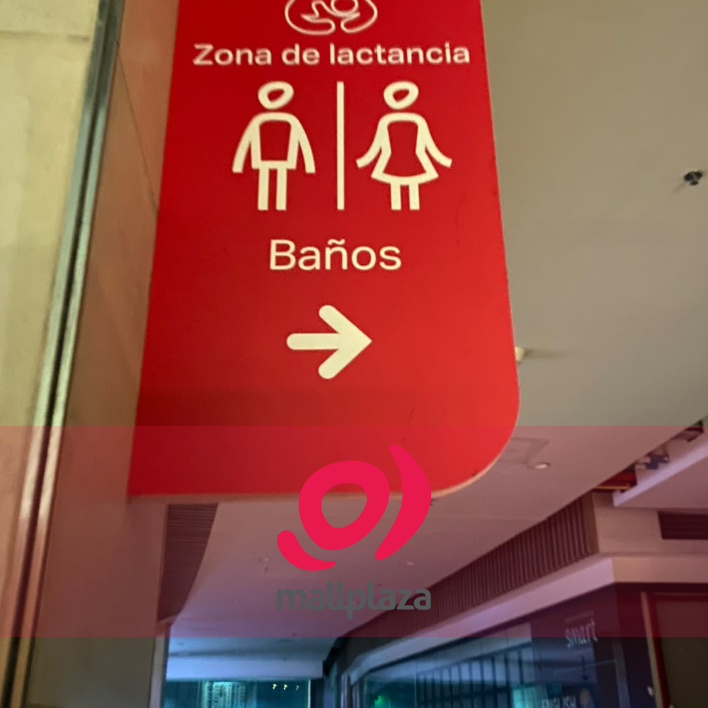 Descripción de la imagen 3 del año 2025